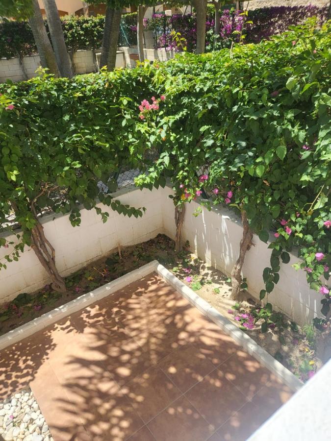 ¡Bajo Precioso Con Salida Directa A La Piscina Comunitaria En Paraiso De Vera! Kültér fotó