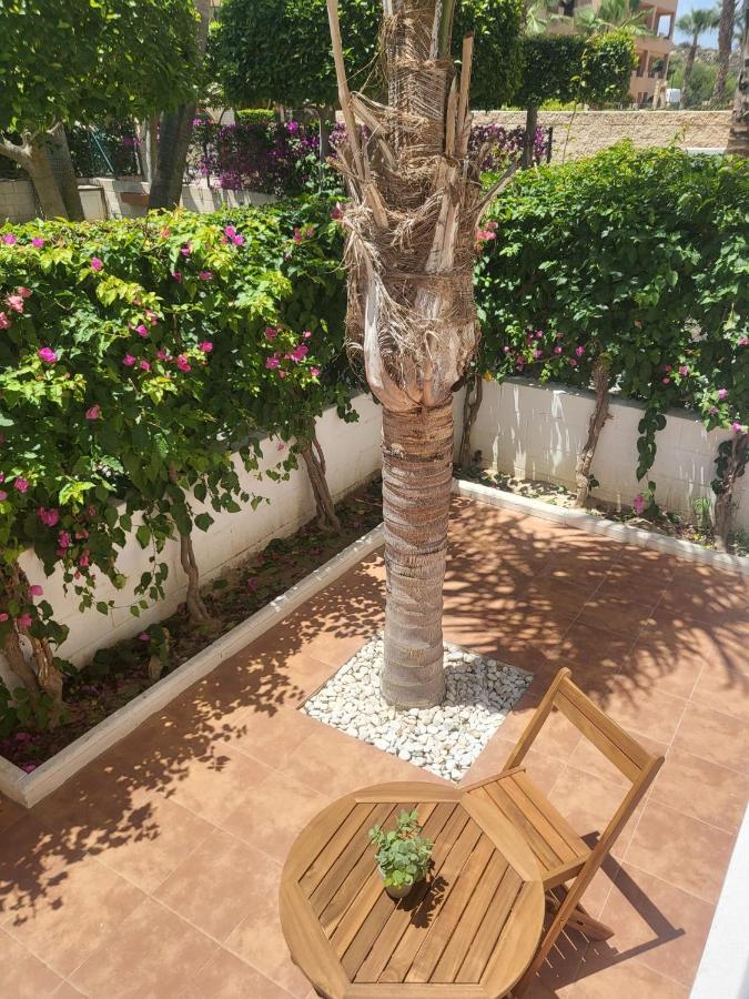 ¡Bajo Precioso Con Salida Directa A La Piscina Comunitaria En Paraiso De Vera! Kültér fotó